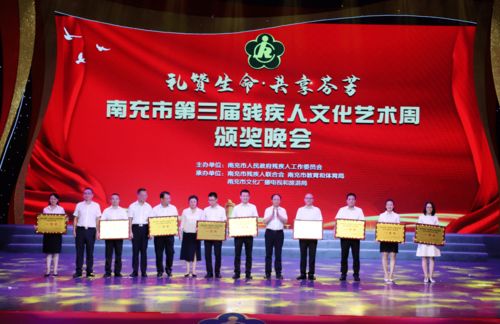 南充市第三屆殘疾人文化藝術周圓滿落幕 藝術展風采，教育咨詢助力夢想啟航